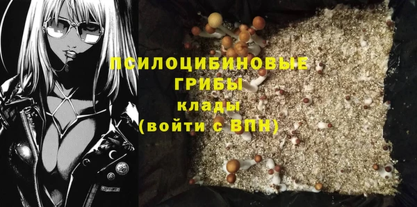 марки lsd Инта