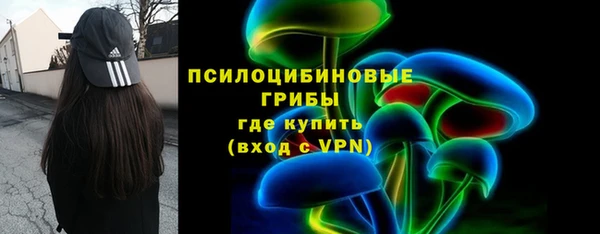 марки lsd Инта