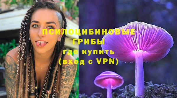 ALPHA-PVP Инсар