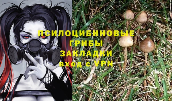 марки lsd Инта