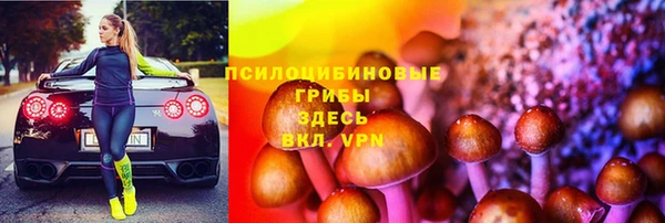 ALPHA-PVP Инсар