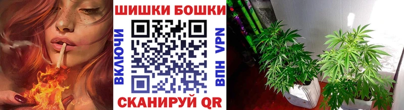 Купить  Вилюйск  Бошки Шишки индика 